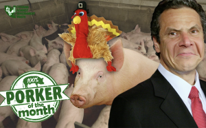 CAGW Names Gov. Andrew Cuomo November 2020 Porker of the Month