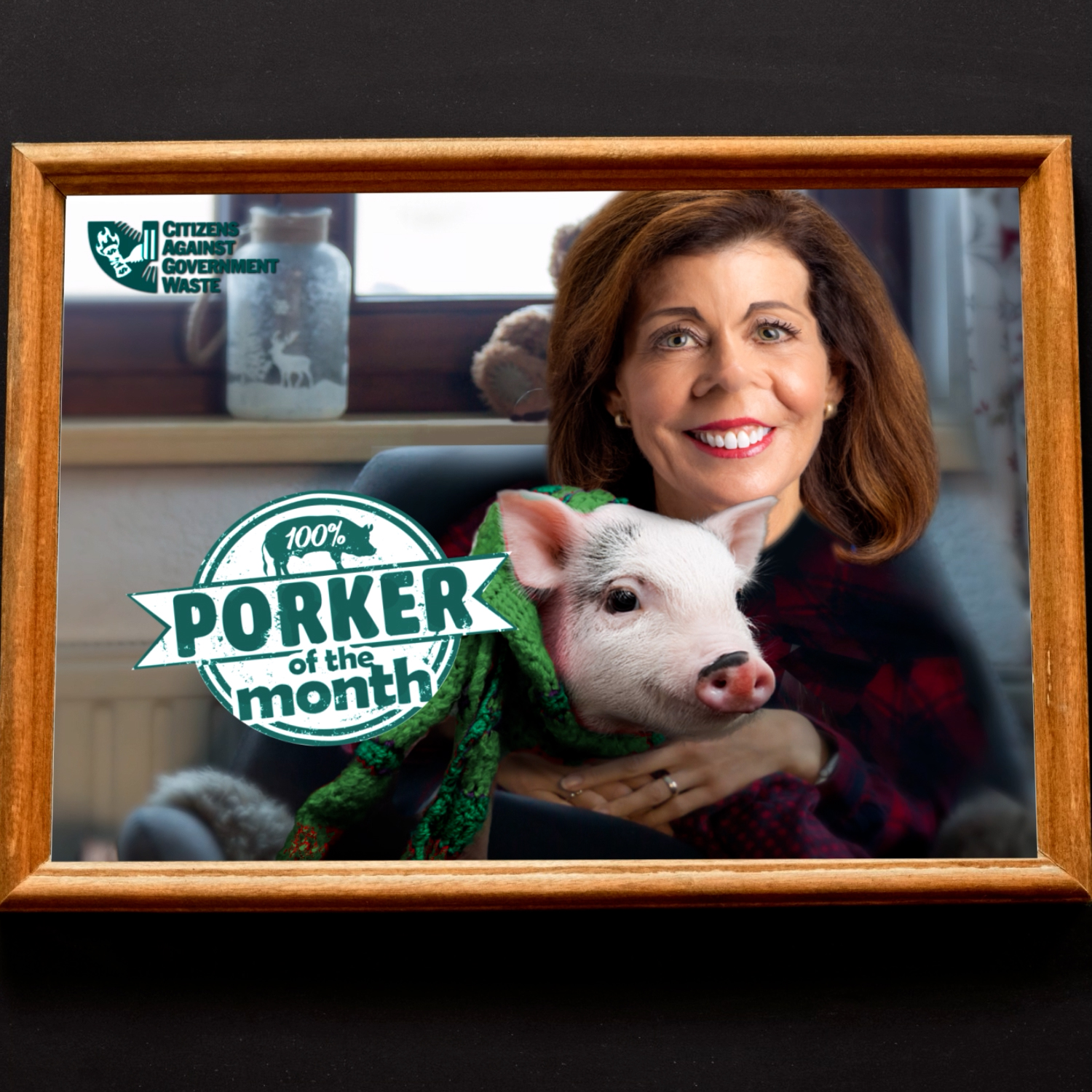 Citizens Against Government Waste Names New York Gov. Kathy Hochul  May 2022 Porker of the Month