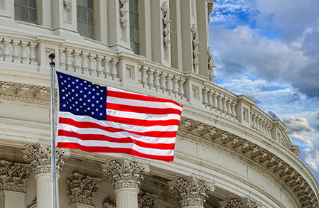 <p>Congress can stop unnecessary government spending by rejecting the new taxes and pet projects that litter Biden's&nbsp;budget.</p>