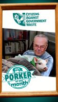 October 2026 Porker of the Month-Schumer